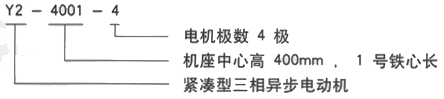 YR系列(H355-1000)高压YRKK5604-10三相异步电机西安西玛电机型号说明